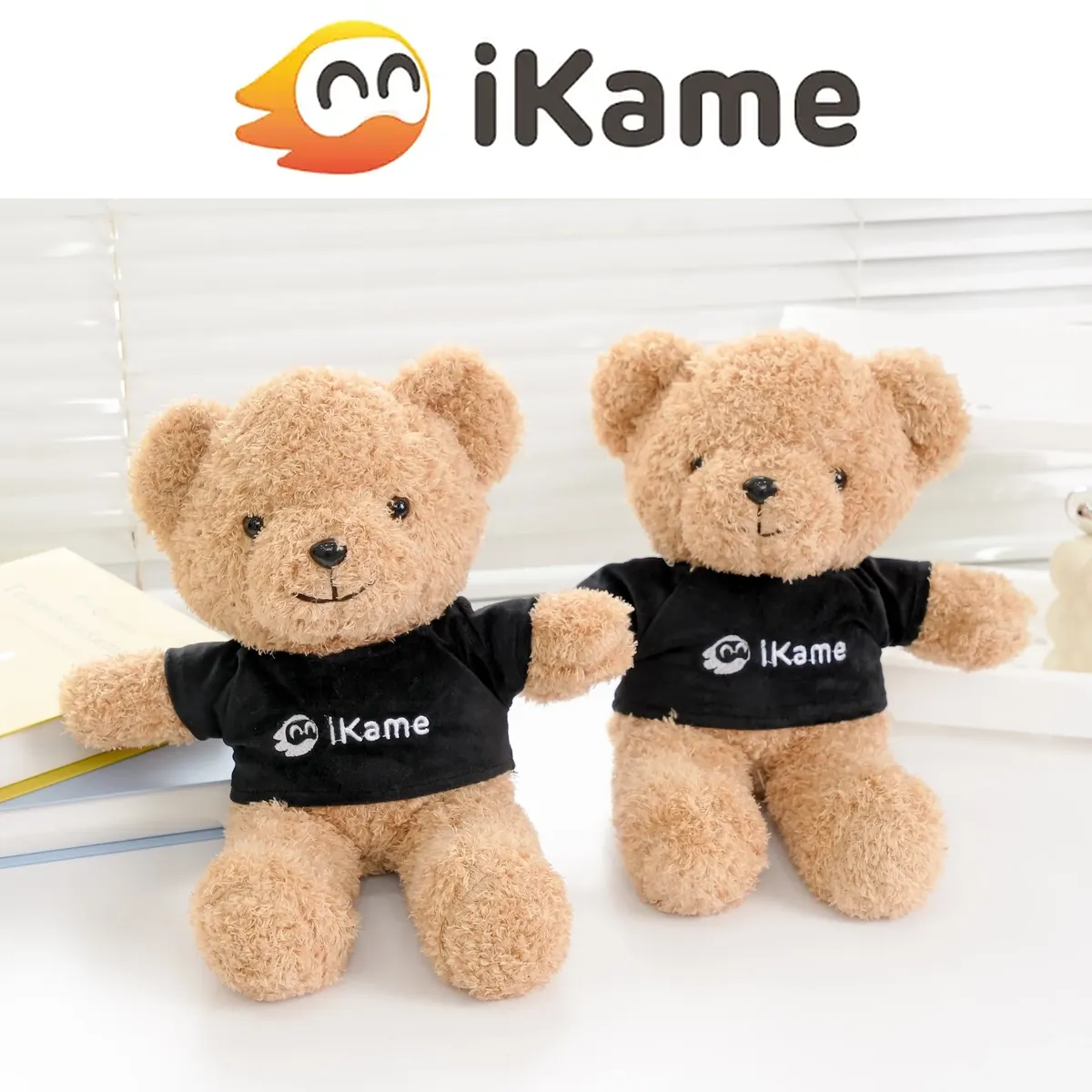 Teddy áo logo - Công ty công nghệ iKame