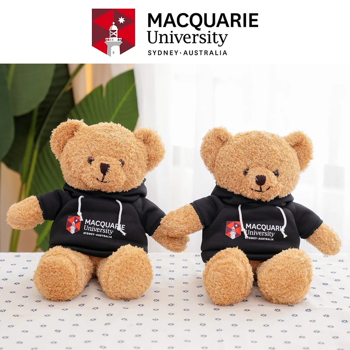Teddy hoodie logo - Đại học Macquarie (Úc)