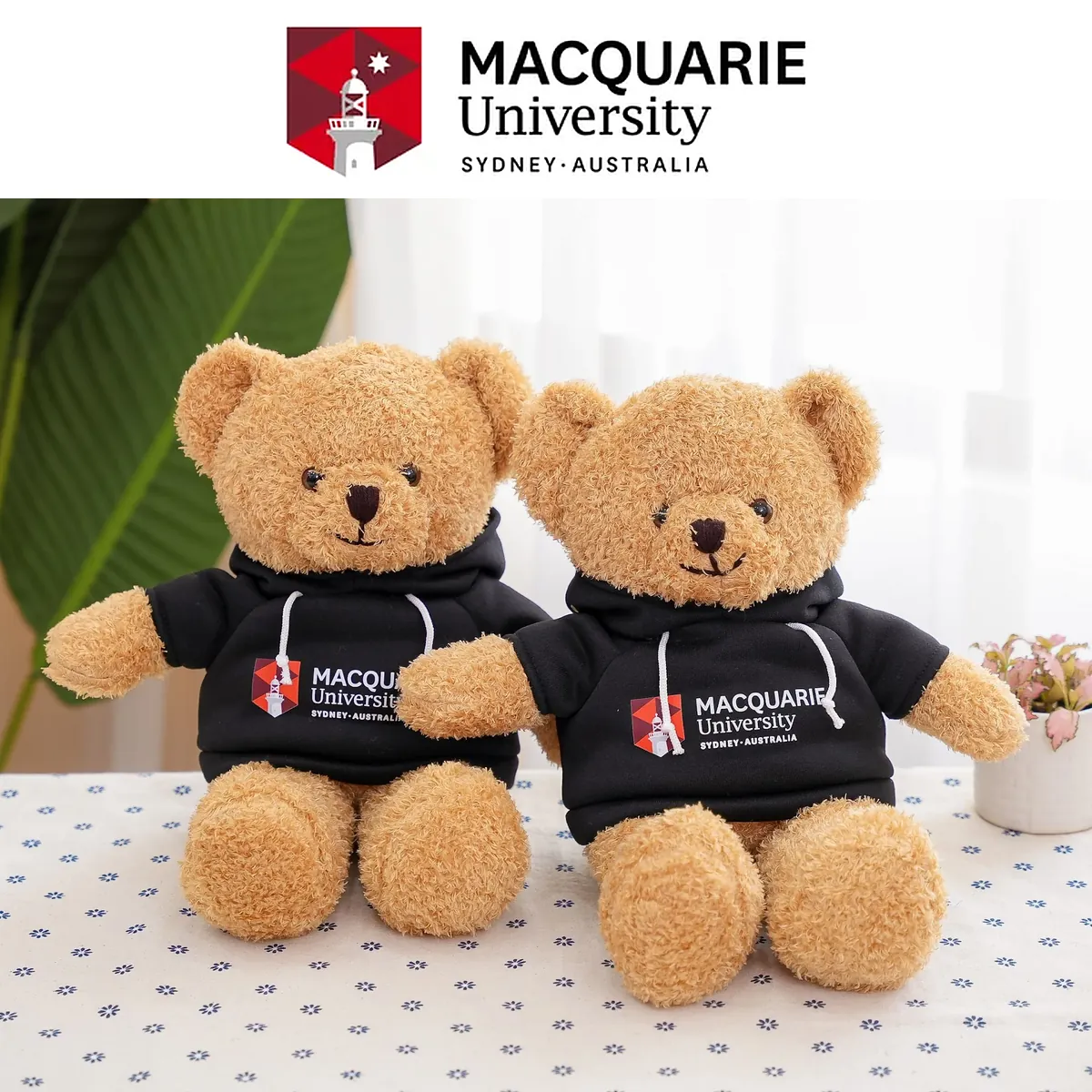 Teddy hoodie logo - Đại học Macquarie (Úc)