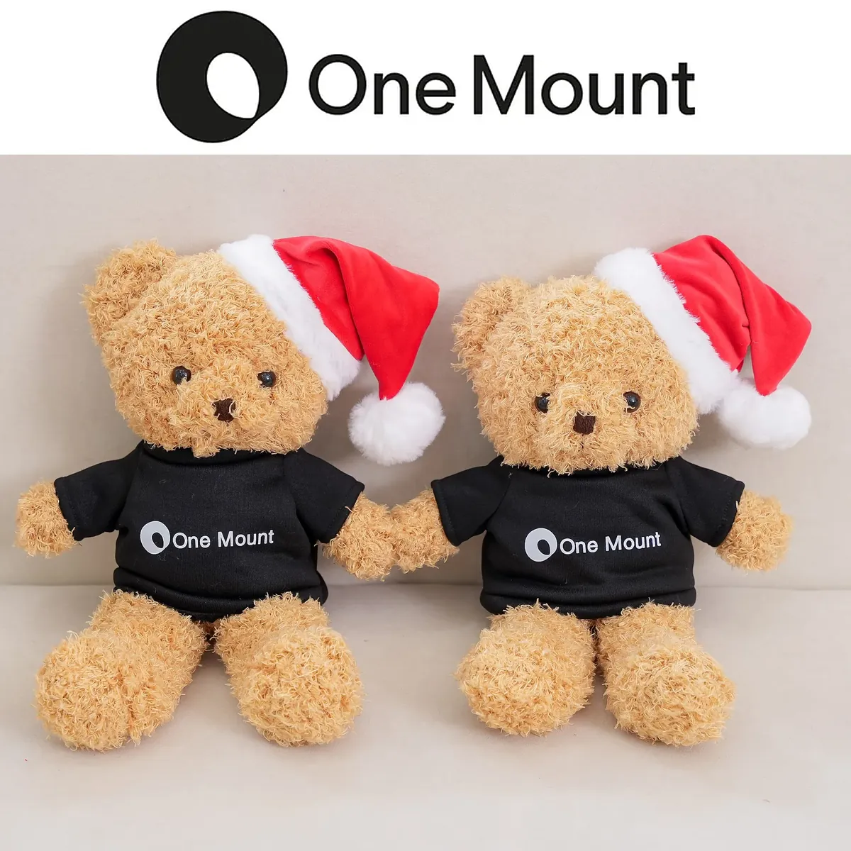 Teddy Noel áo logo - Tập đoàn One Mount