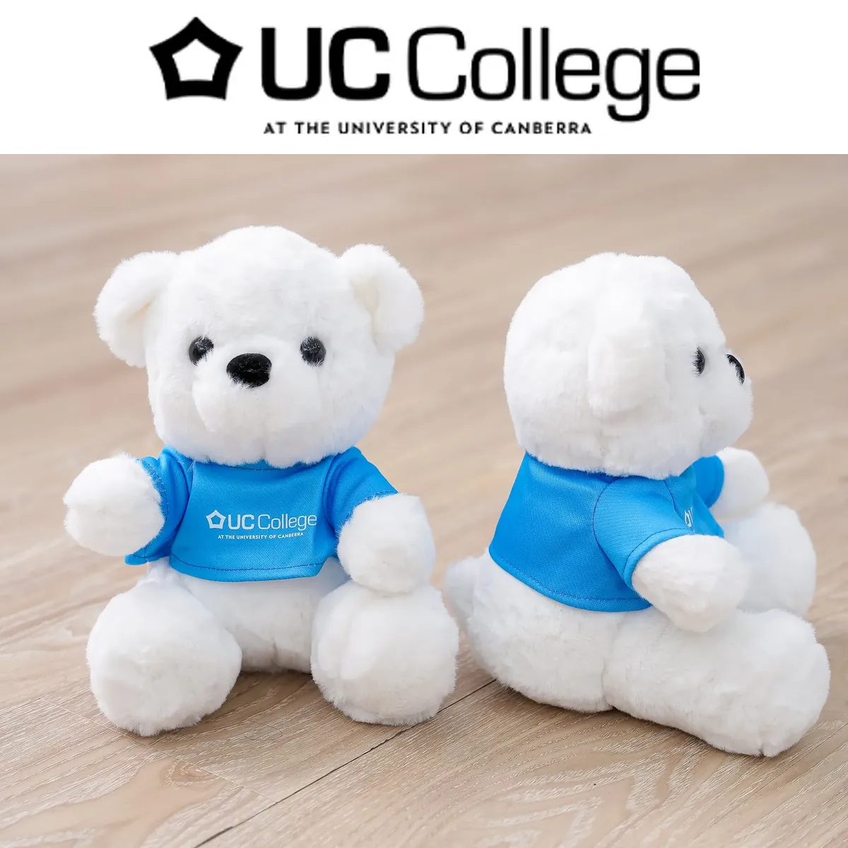 Gấu trắng áo logo - UC College