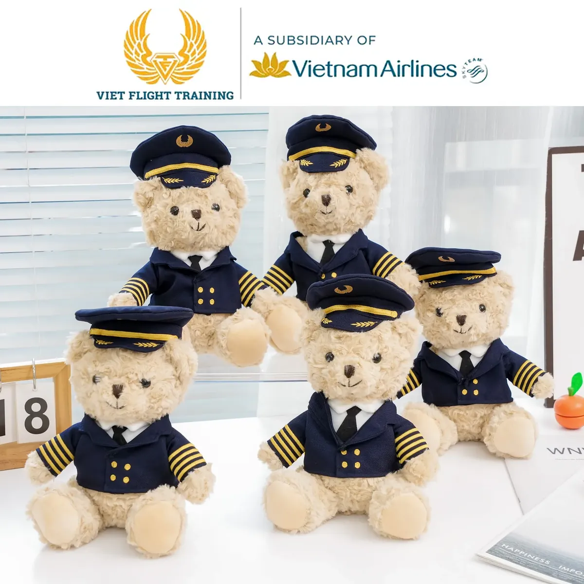 Viet Flight Training · teddy phi công
