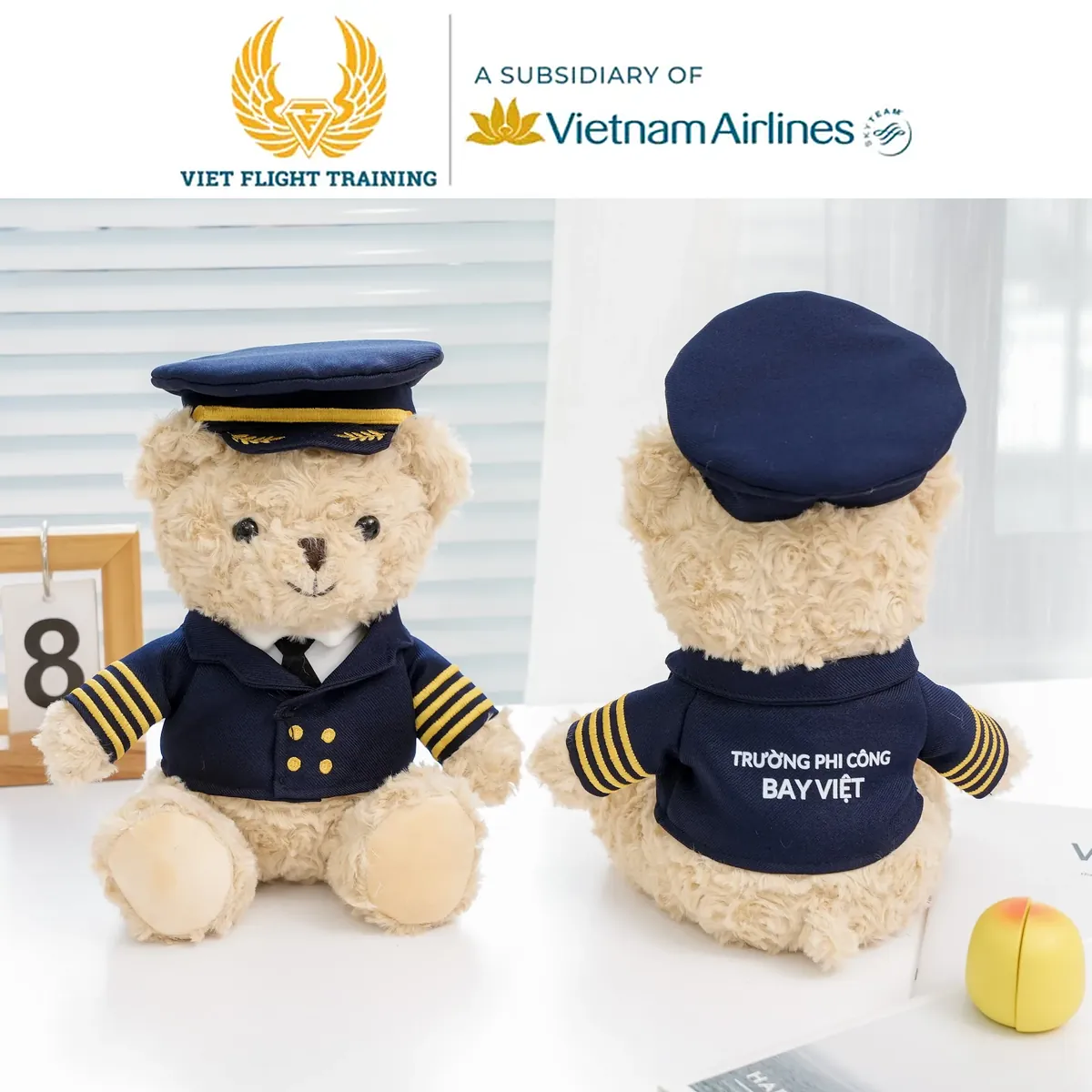 Teddy đồng phục phi công - Trường đào tạo phi công Viet Flight Training