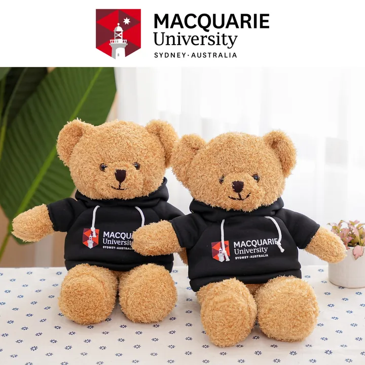 Teddy hoodie logo - Macquarie University