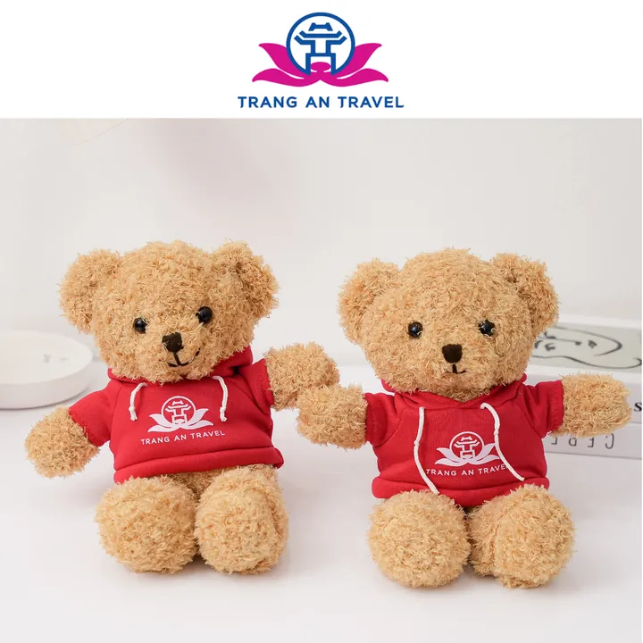 Teddy áo hoodie logo - Tràng An Travel