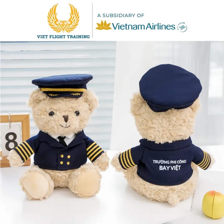 Viet Flight Training · teddy phi công
