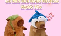 Gấu Bông Capybara Khổng Lồ Là Món Quà Hoàn Hảo Cho Người Yêu