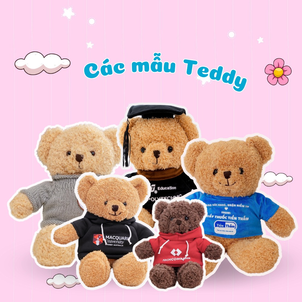 Gấu bông Teddy