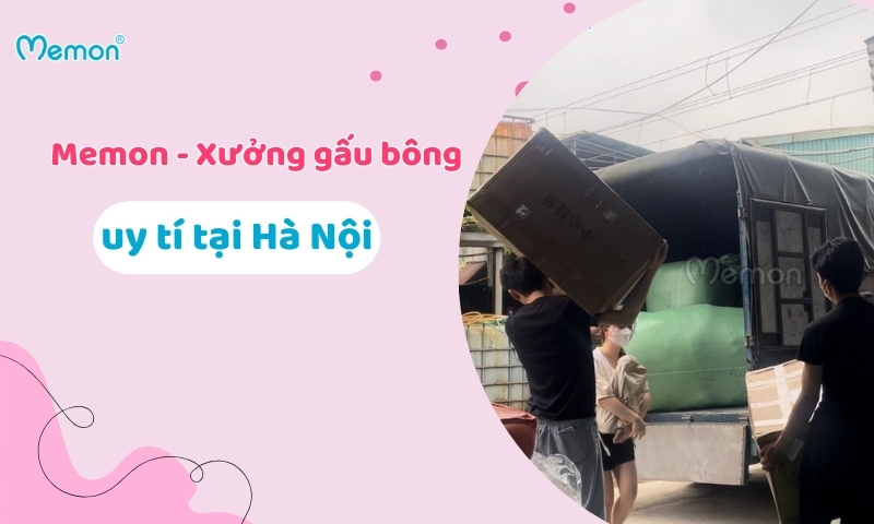 5 Lưu Ý Cần Biết Khi Đặt Gấu Thiết Kế Cho Doanh Nghiệp