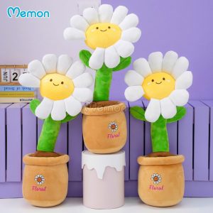 Chậu Hoa Daisy Bông