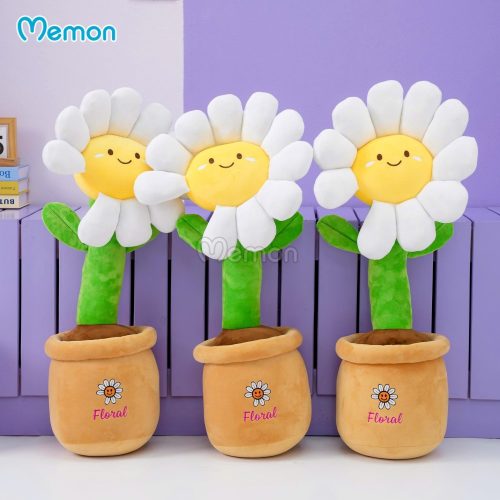 Chậu Hoa Daisy Bông