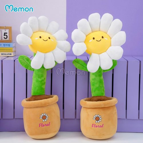 Chậu Hoa Daisy Bông