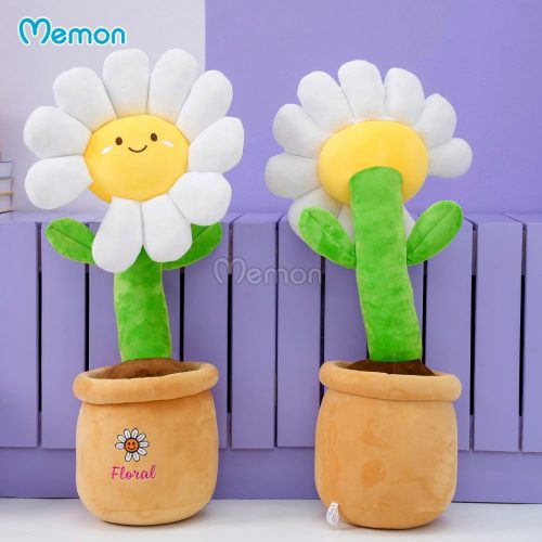 Chậu Hoa Daisy Bông