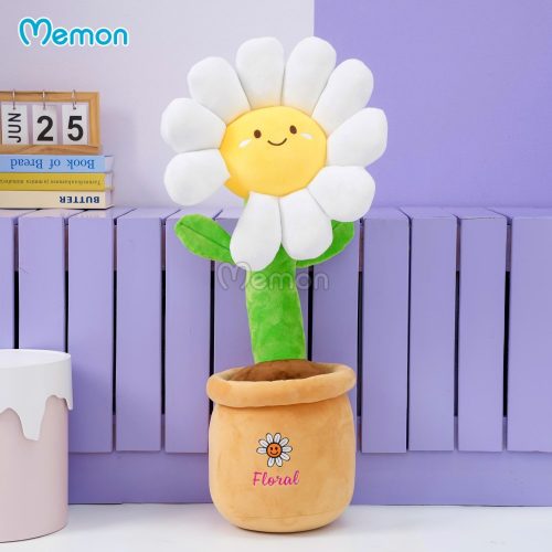 Chậu Hoa Daisy Bông