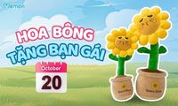 Hoa Bông – Món Quà 20/10 Ngọt Ngào và Ý Nghĩa Dành Tặng Bạn Gái