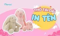 Thỏ Bông Tai Dài In Tên – Quà Trung Thu Ý Nghĩa Cho Team, Công Ty, Trường Học