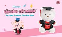 Tạo Dấu Ấn Khó Quên Cho Mùa Bế Giảng Với Gấu Bông Tốt Nghiệp In Logo Trường, Tên Độc Đáo
